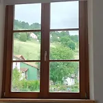 Renove Vue Montagne A Centre 公寓 *