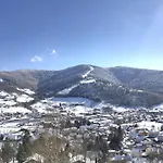 Renove Vue Montagne A Centre * Bussang