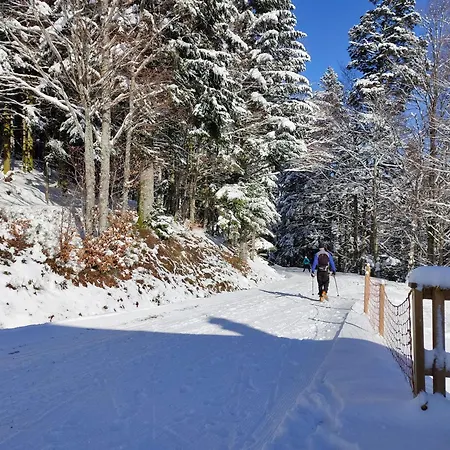 Renove Vue Montagne A Centre بوسانغ