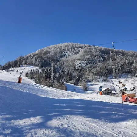 Renove Vue Montagne A Centre *