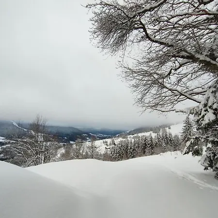 Renove Vue Montagne A Centre Daire *
