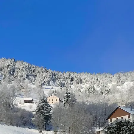 Daire Renove Vue Montagne A Centre Bussang