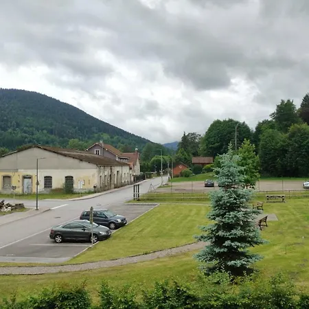 Renove Vue Montagne A Centre Daire Bussang