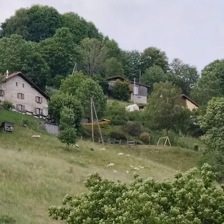 Renove Vue Montagne A Centre Bussang