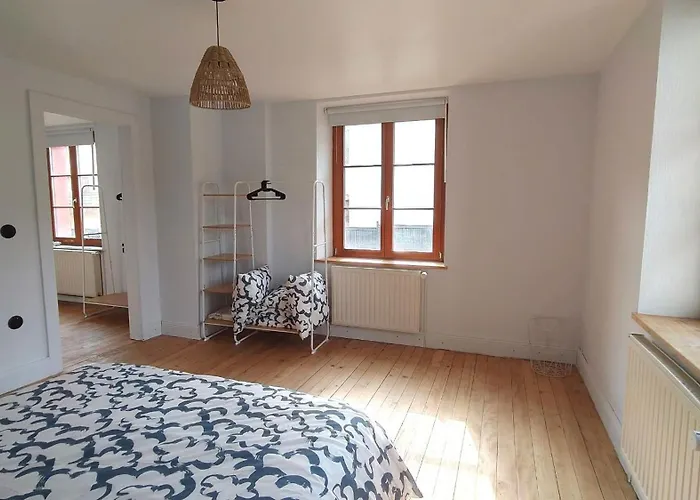 Renove Vue Montagne A Centre 公寓 *