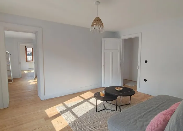 Renove Vue Montagne A Centre Apartmán Bussang