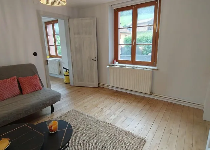 Renove Vue Montagne A Centre * Bussang