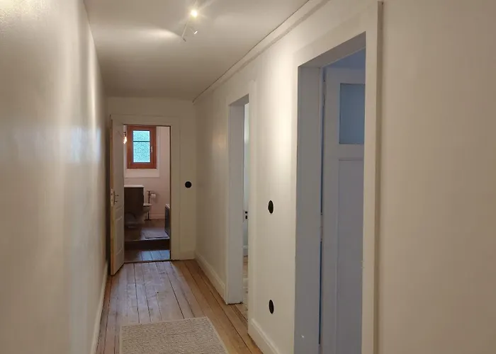 Renove Vue Montagne A Centre