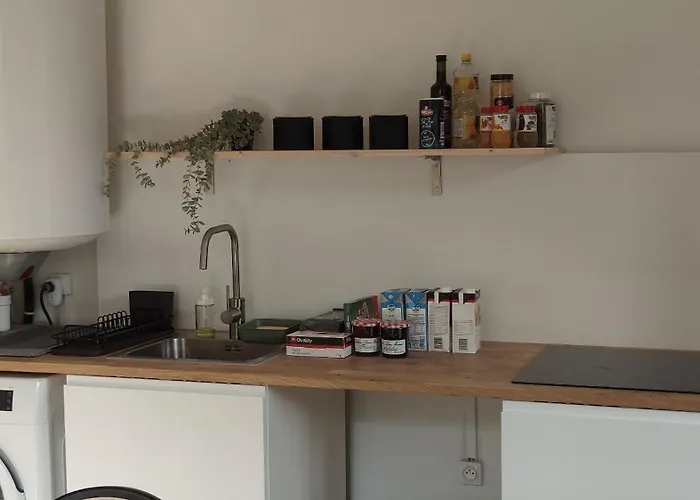 Renove Vue Montagne A Centre Bussang