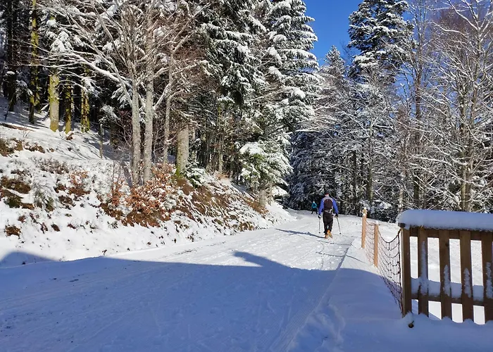 Renove Vue Montagne A Centre 比桑