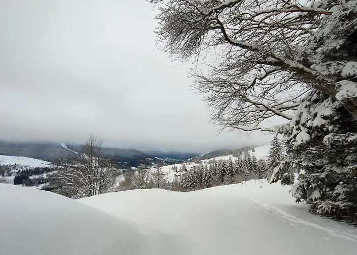 Renove Vue Montagne A Centre 公寓