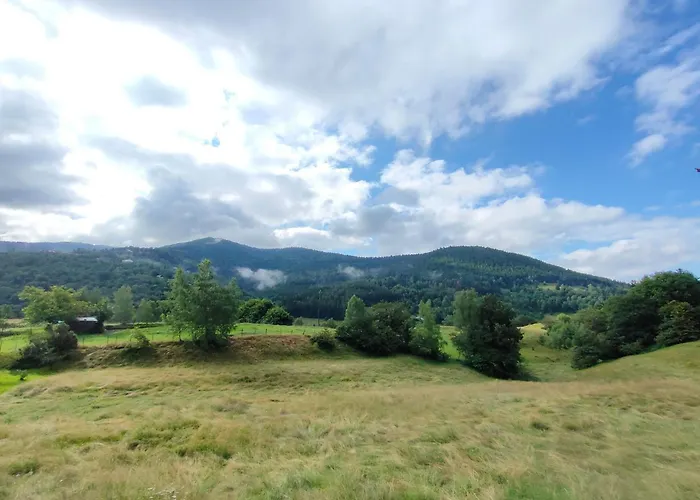 Renove Vue Montagne A Centre *