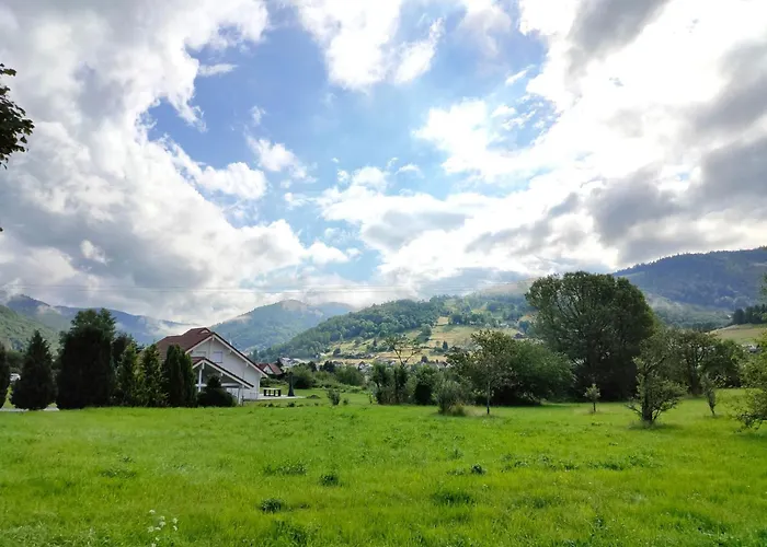 Renove Vue Montagne A Centre *